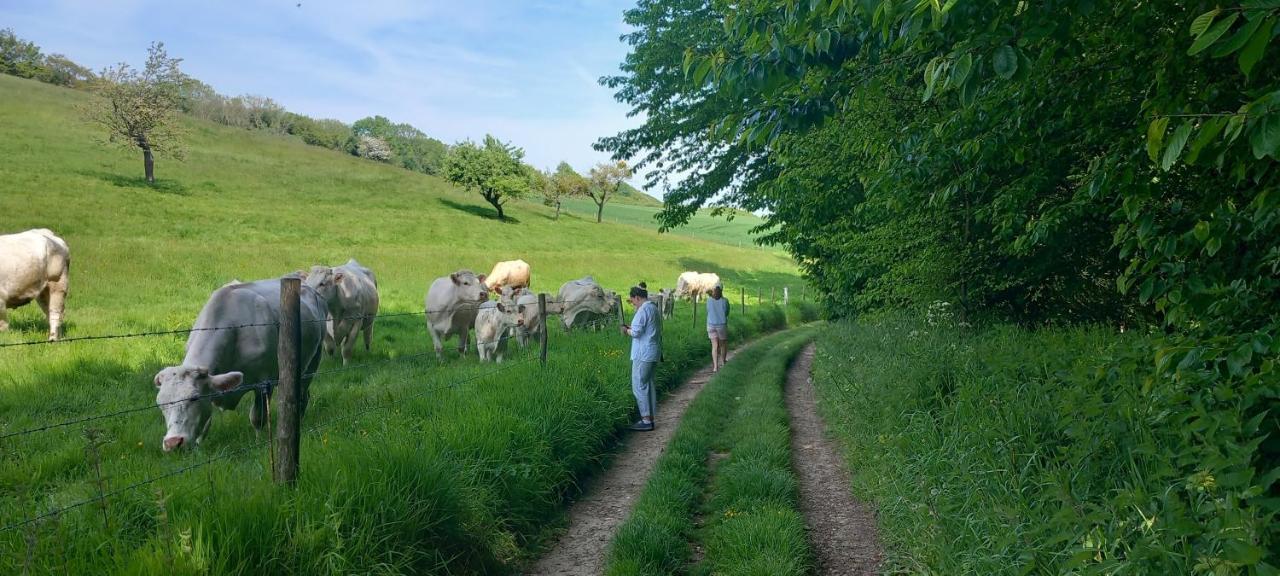 La Croisee Des Chemins Arques-la-Bataille Extérieur photo
